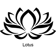“Lotus”