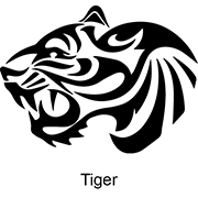 “Tiger”