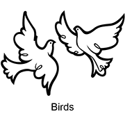 “Birds”
