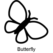 “Butterfly”