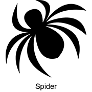 “Spider”