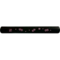 Cherry Blossoms Chopsticks Box