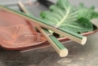 Green Bamboo Print on Bamboo Chopsticks - CF225