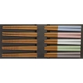 Soft Colors Chopstick Set Antimicrobial Dishwasher Safe
